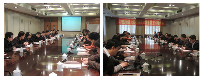 La formazione tecnica nazionale in Headquarter 123456890 Hippro ha svolto una formazione tecnica nazionale a Shijiazhuang per il personale di marketing a Jan. ventunesimo-25th, 2015.